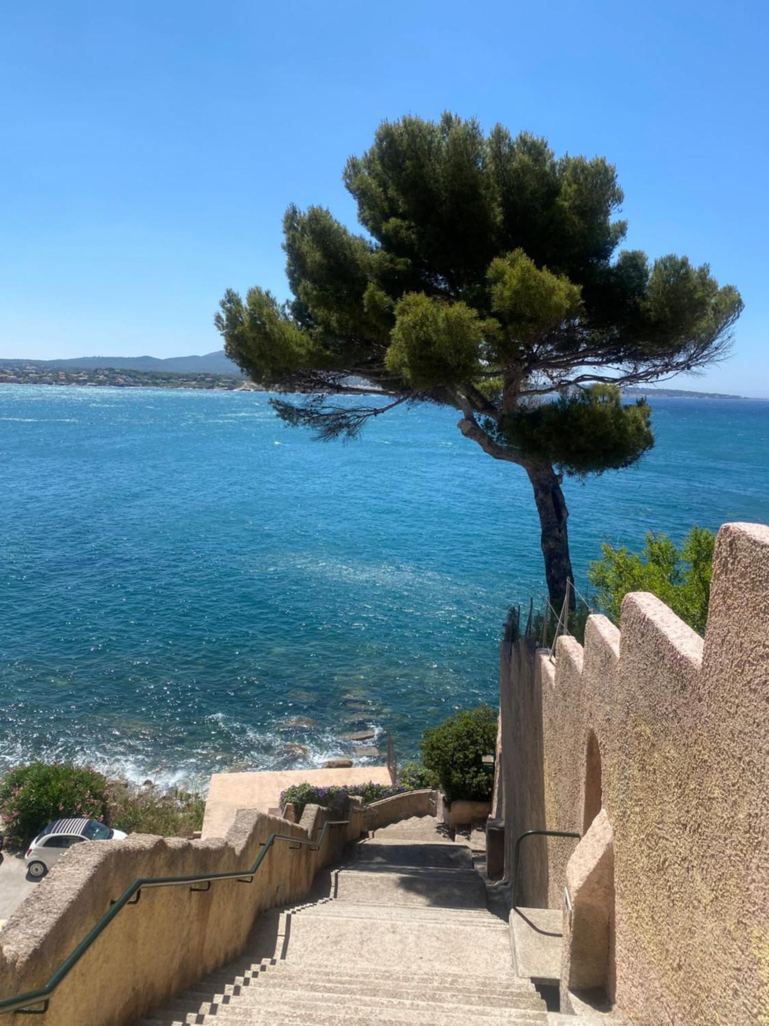Casa Paloma Appartement Sanary-sur-Mer Buitenkant foto