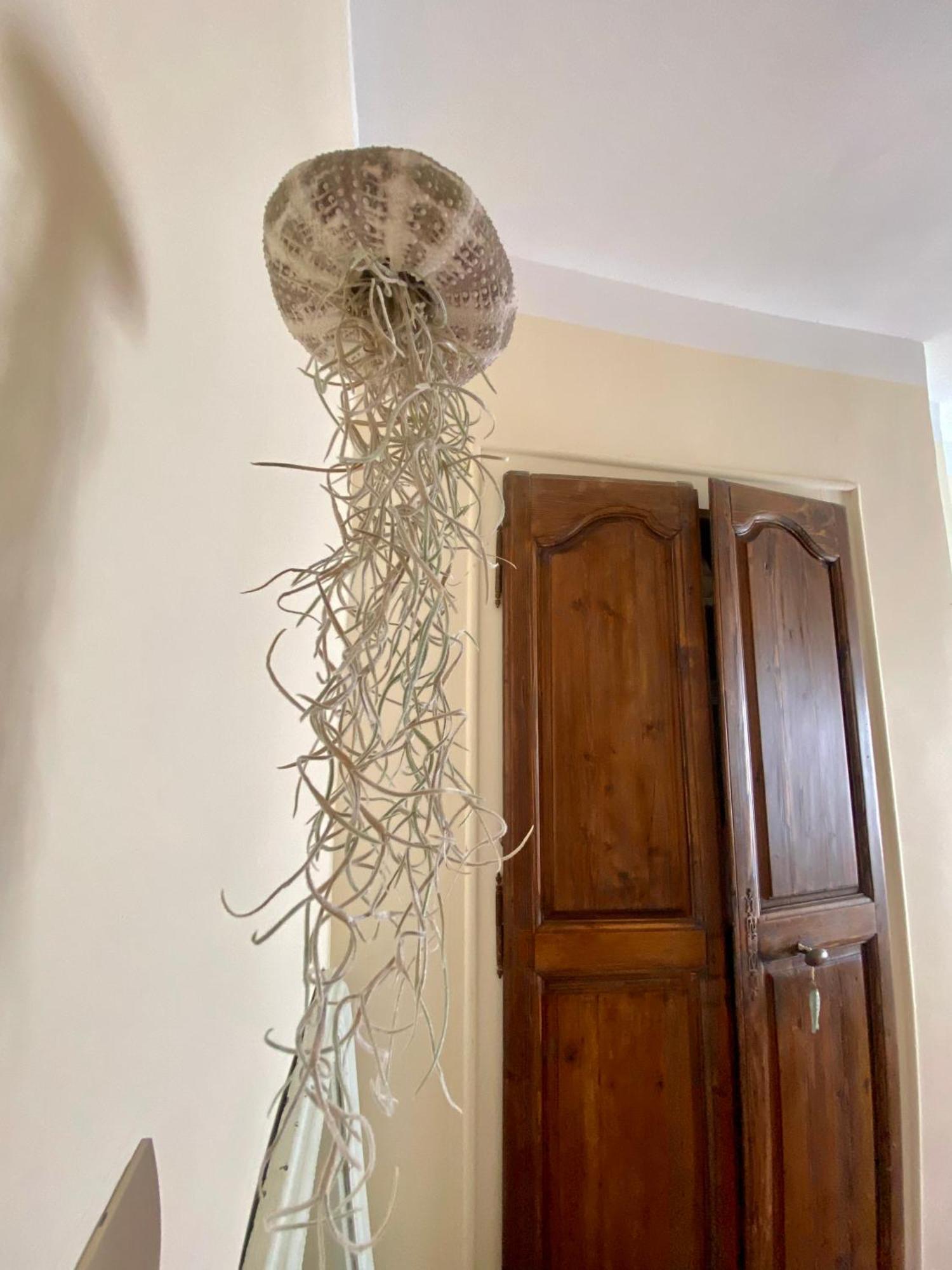Casa Paloma Appartement Sanary-sur-Mer Buitenkant foto